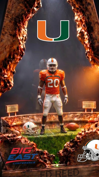 Ed Reed ~ Miami Hurricanes (PRE-ORDER)